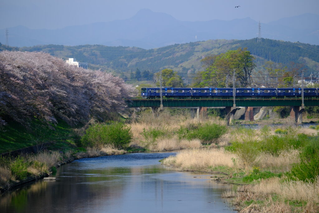 X-T5 2024-04-13 07:40:18 f/4 1/300sec ISO-125 140mm Horizontal (normal)