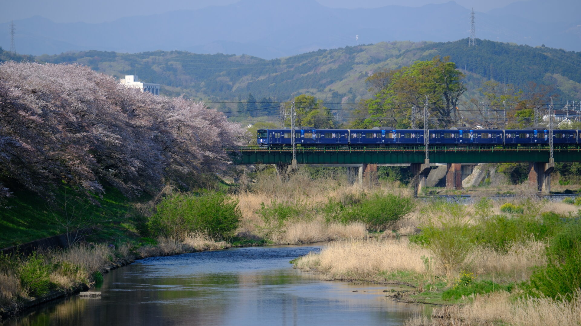 X-T5 2024-04-13 07:40:18 f/4 1/300sec ISO-125 140mm Horizontal (normal)